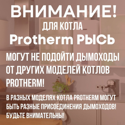 Дымоход для котла Протерм (Protherm) Рысь любой мощности, комплект антилед (Китай) (DYMrys)